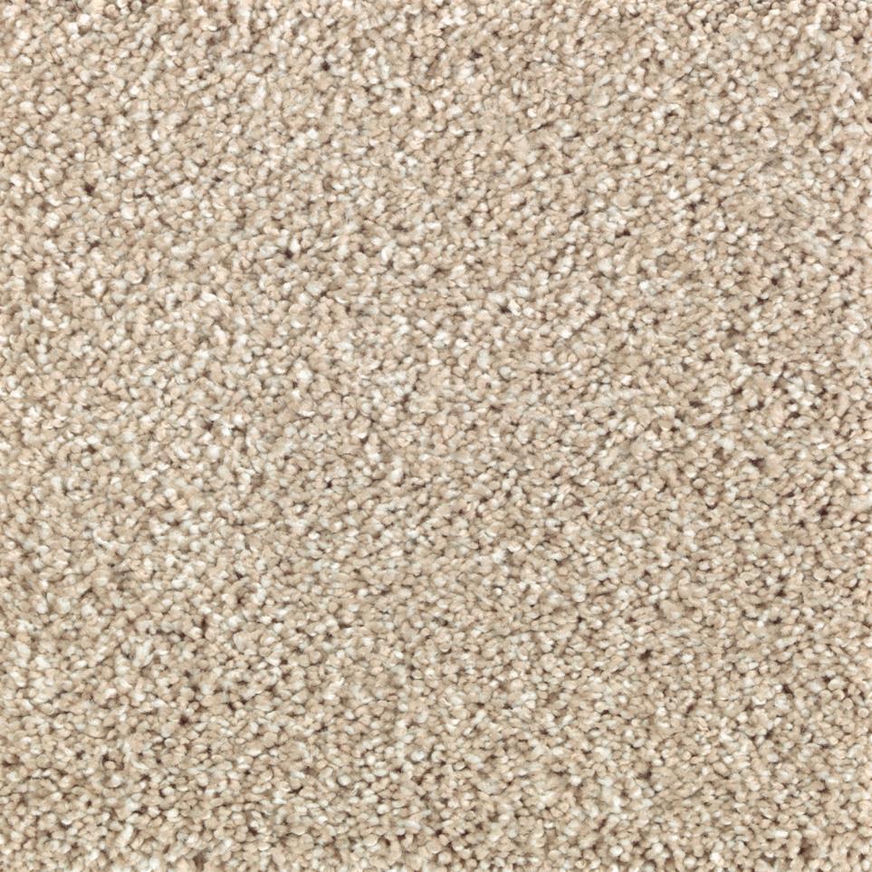 Texture Softened Ash Beige/Tan Carpet