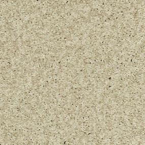 Textured Saxony White Dove White Carpet
