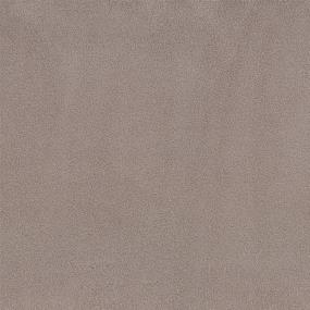 Textured Saxony Tavern Brown Carpet