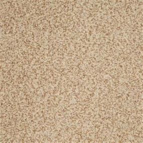 Textured Saxony Gallery Beige/Tan Carpet