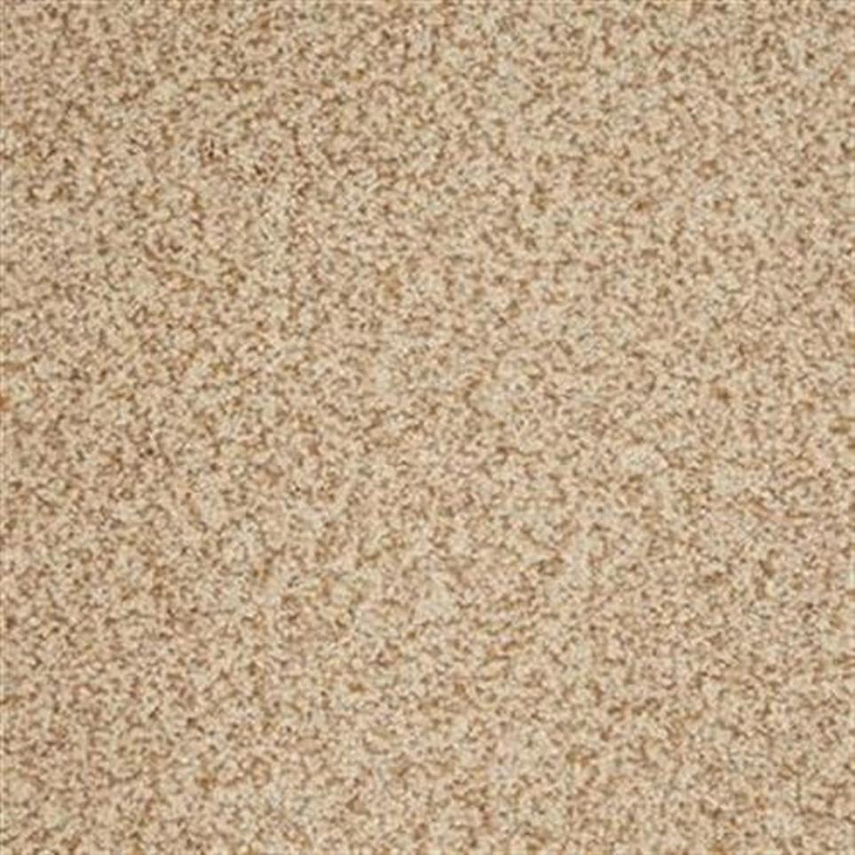 Textured Saxony Gallery Beige/Tan Carpet