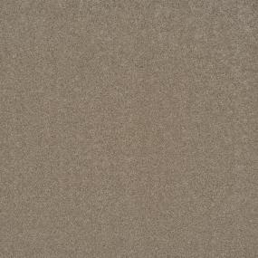 Casual Texture Taffy Beige/Tan Carpet