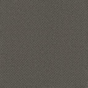 Pattern Adventurous Gray Carpet