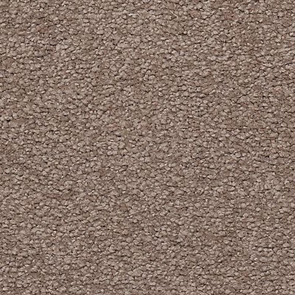 Textured Saxony Fieldstone Brown Carpet