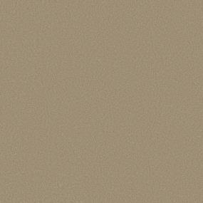 Texture Cork Board Beige/Tan Carpet