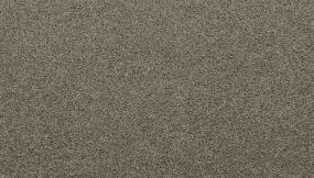 Texture Deck Beige/Tan Carpet