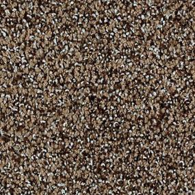 Textured Saxony Down To Earth Brown Carpet