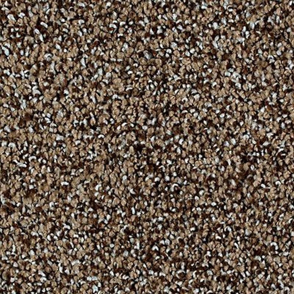 Textured Saxony Down To Earth Brown Carpet