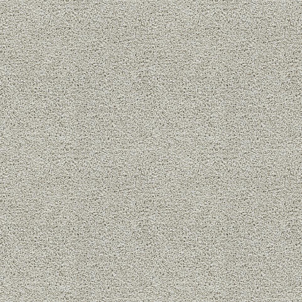 Textured Saxony Bountiful Gray Carpet