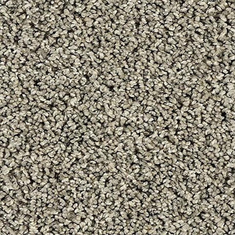 Textured Saxony Tradewind Gray Carpet