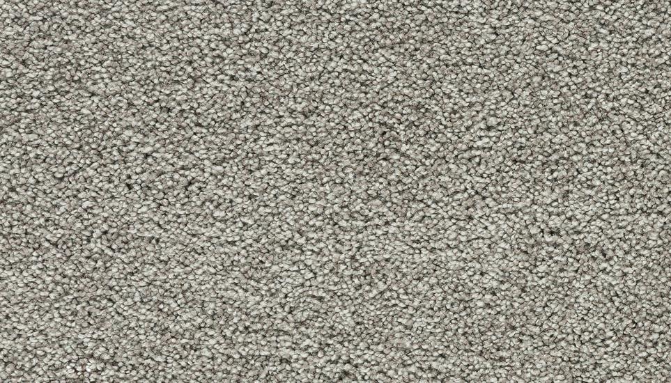 Textured Saxony Polar Gray Carpet