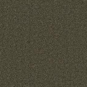 Texture Bercamont Brown Carpet