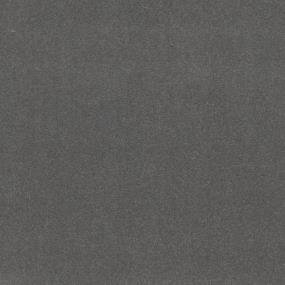 Textured Saxony Mermaid Gray Carpet
