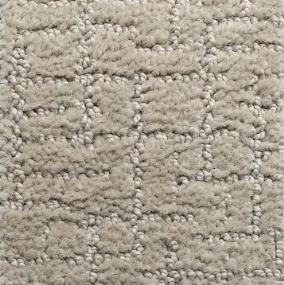 Pattern Arroyo Grey Beige/Tan Carpet