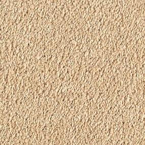 Textured Saxony Moonbeam Beige/Tan Carpet