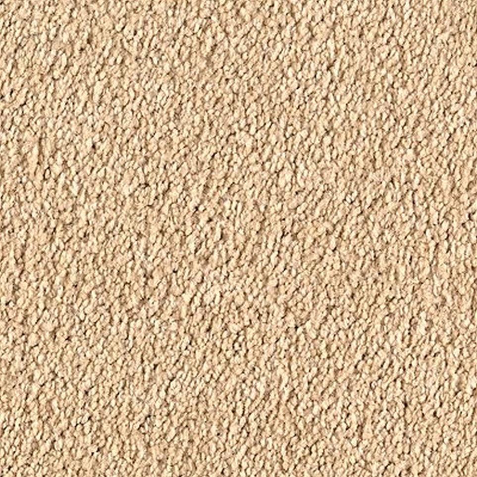 Textured Saxony Moonbeam Beige/Tan Carpet