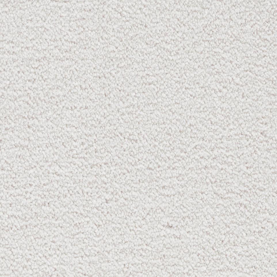 Textured Saxony Antiquity White Carpet