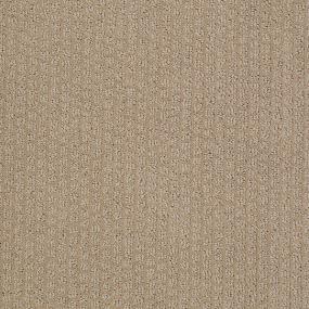 Pattern Tea Stain Beige/Tan Carpet