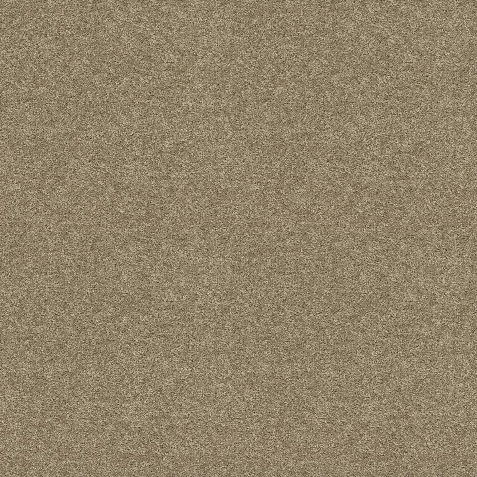 Texture Tan Charm Brown Carpet