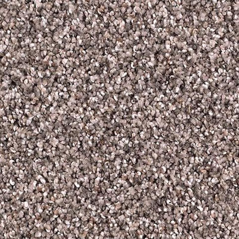 Textured Saxony Smokescreen Gray Carpet