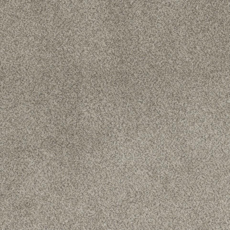 Textured Saxony Deer Creek Beige/Tan Carpet