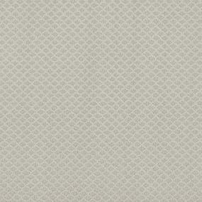Pattern Cashmere Gray Carpet
