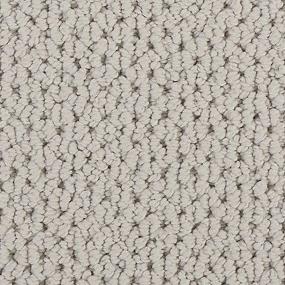 Loop Dewdrop Gray Carpet