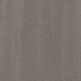 Pattern Dock Brown Carpet