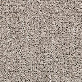 Pattern Mirror Image Gray Carpet