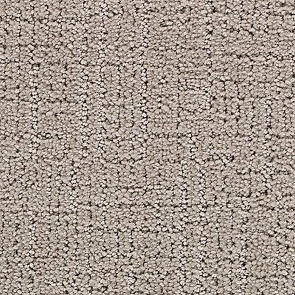 Pattern Mirror Image Gray Carpet