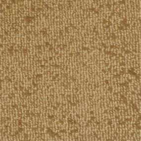 Pattern Tortoise Beige/Tan Carpet