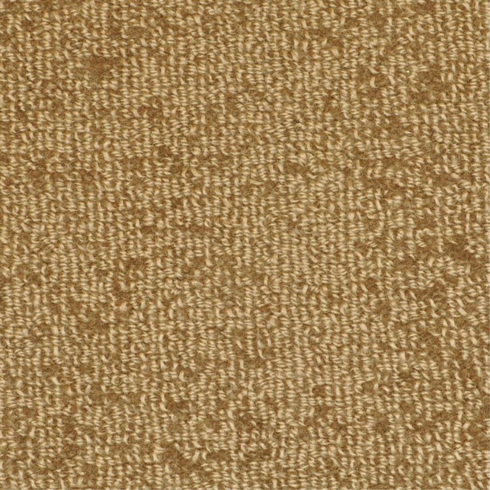 Pattern Tortoise Beige/Tan Carpet