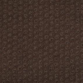 Pattern Sleeping Bear Brown Carpet