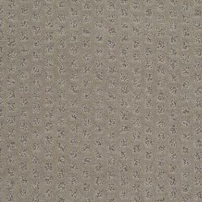 Pattern Weathered Bark Beige/Tan Carpet