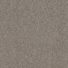 Textured Saxony Putty Beige/Tan Carpet