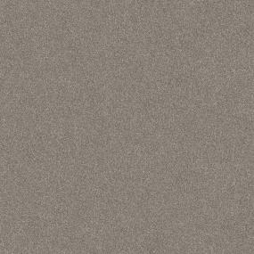 Textured Saxony Putty Beige/Tan Carpet