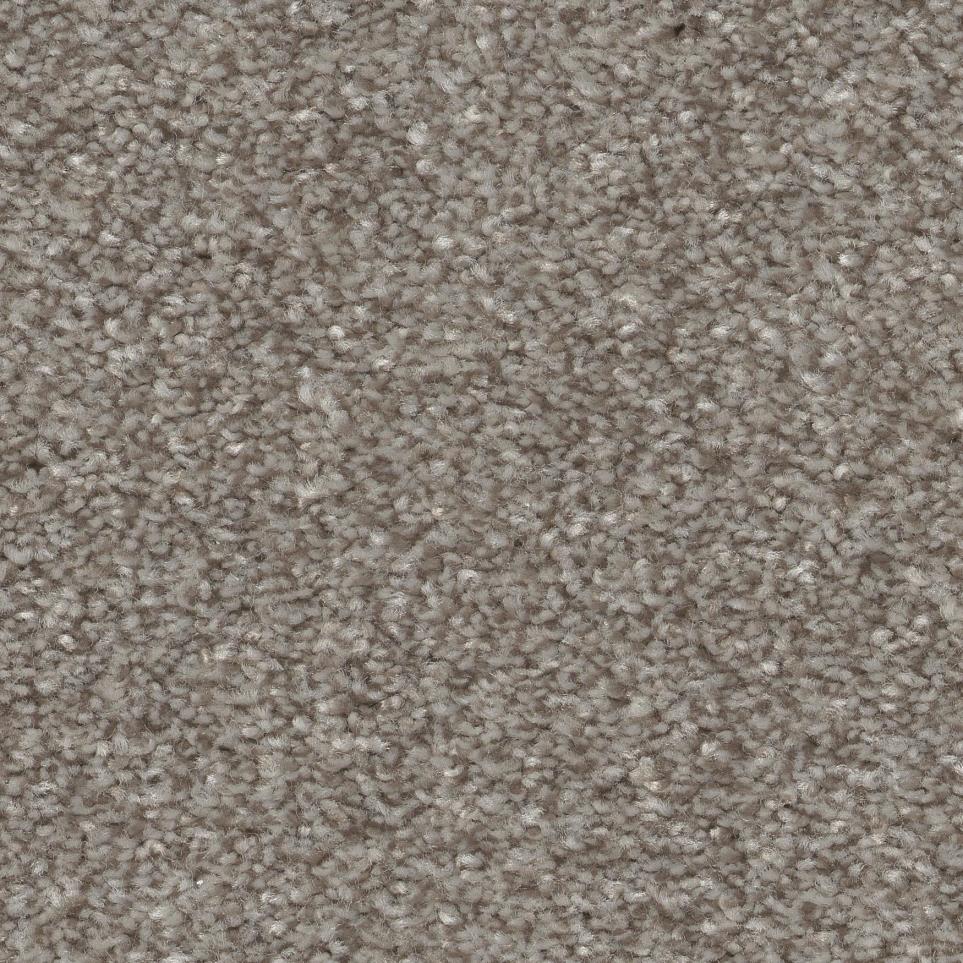 Textured Saxony Putty Beige/Tan Carpet