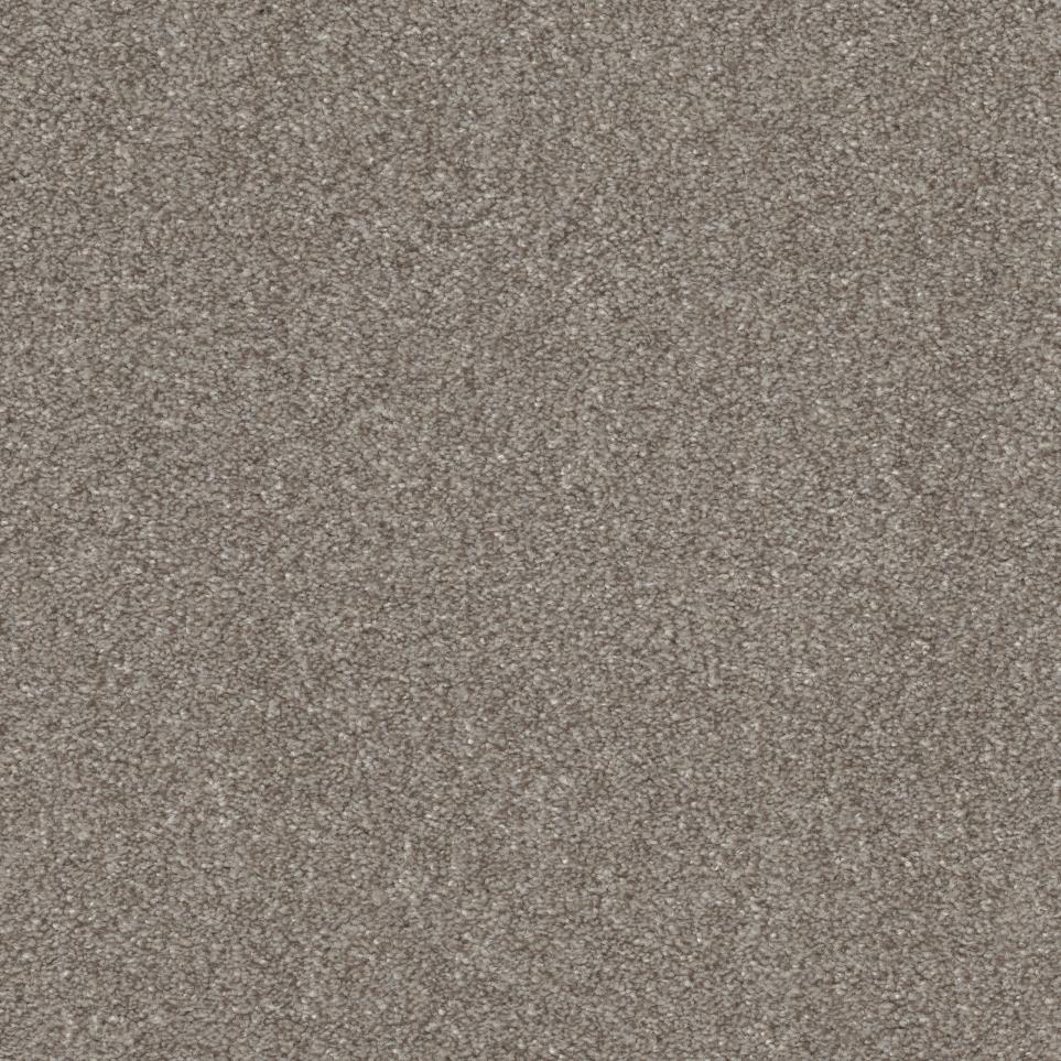 Textured Saxony Putty Beige/Tan Carpet