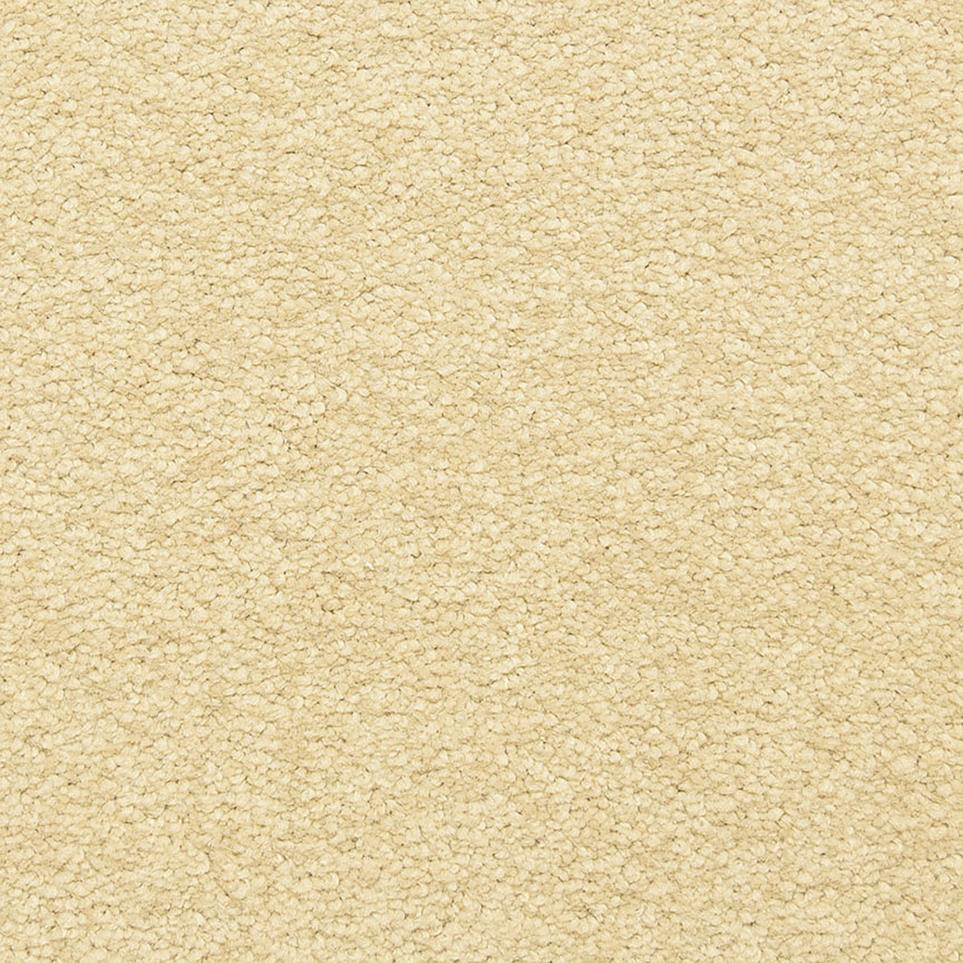Texture Macaroon Beige/Tan Carpet