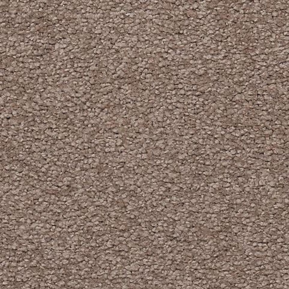 Textured Saxony Fieldstone Brown Carpet