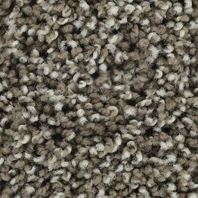 Textured Saxony TAUPE SHADOW Beige/Tan Carpet