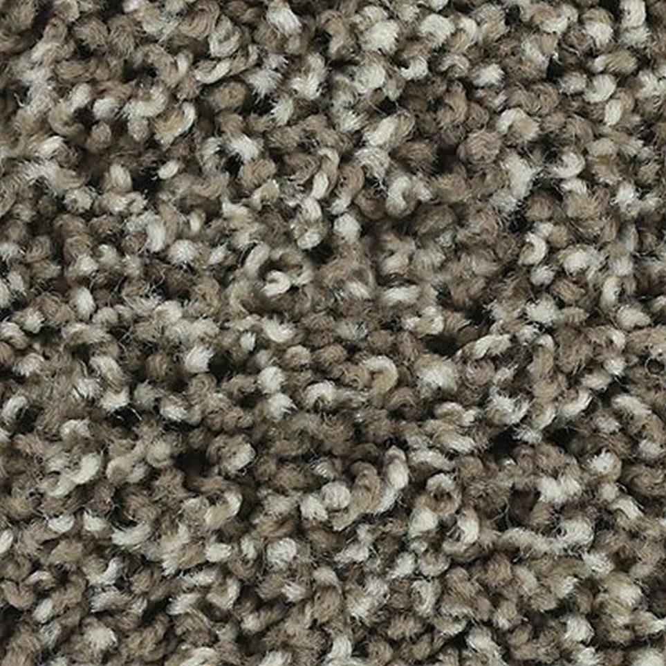 Textured Saxony TAUPE SHADOW Beige/Tan Carpet