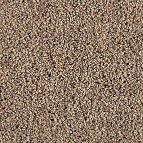 Textured Saxony Enigma Beige/Tan Carpet