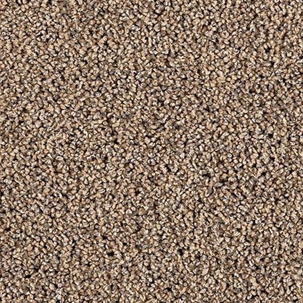 Textured Saxony Enigma Beige/Tan Carpet