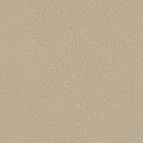 Textured Saxony Aruba Beige/Tan Carpet
