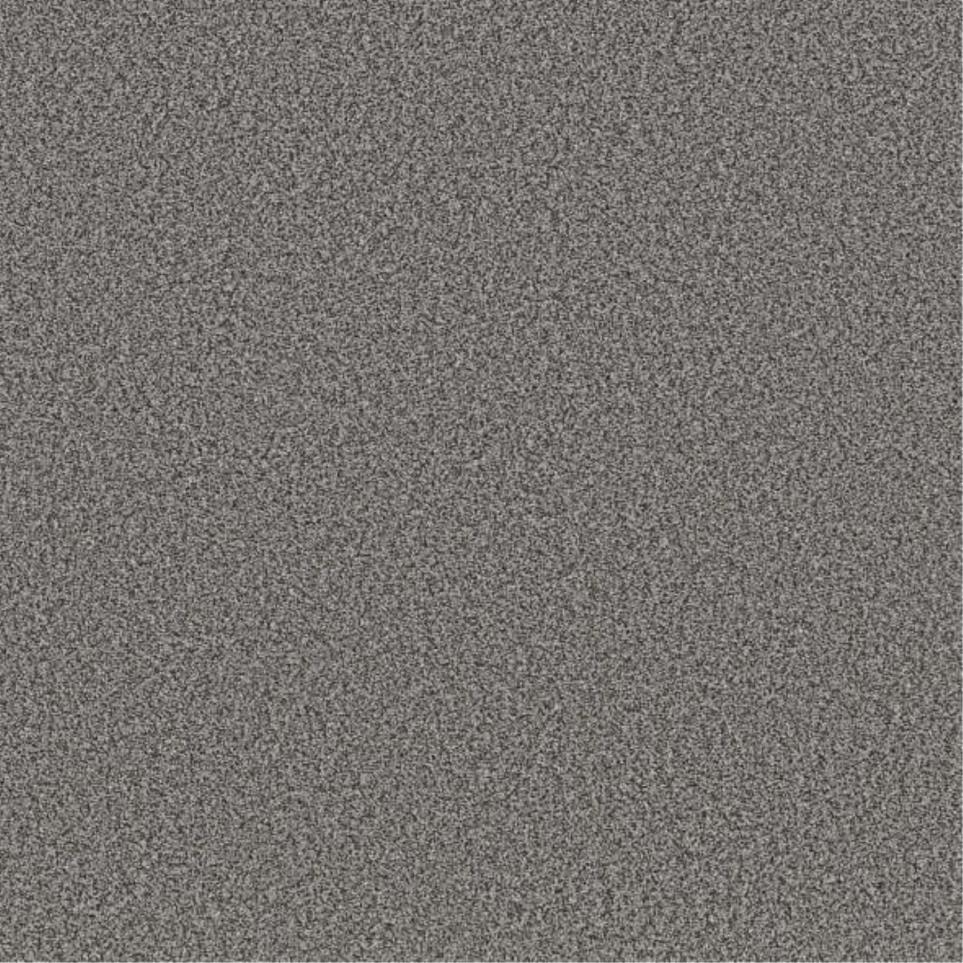 Textured Saxony River Bank Gray Carpet