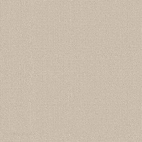 Loop Martini Beige/Tan Carpet