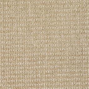 Pattern Quiet Beige/Tan Carpet