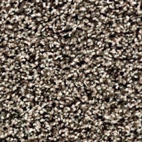 Textured Saxony Atrium Brown Carpet