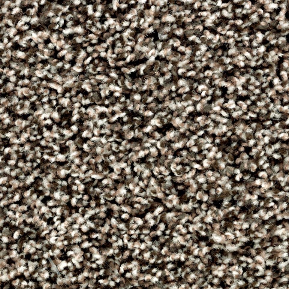 Textured Saxony Atrium Brown Carpet